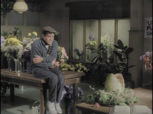 "What Do I Need You For?"