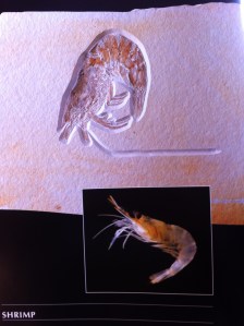 "See. I am the same."